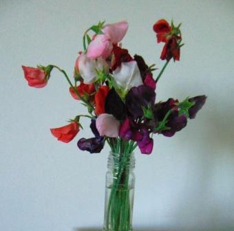 This image has an empty alt attribute; its file name is sweet-pea-bouquet-first.jpg